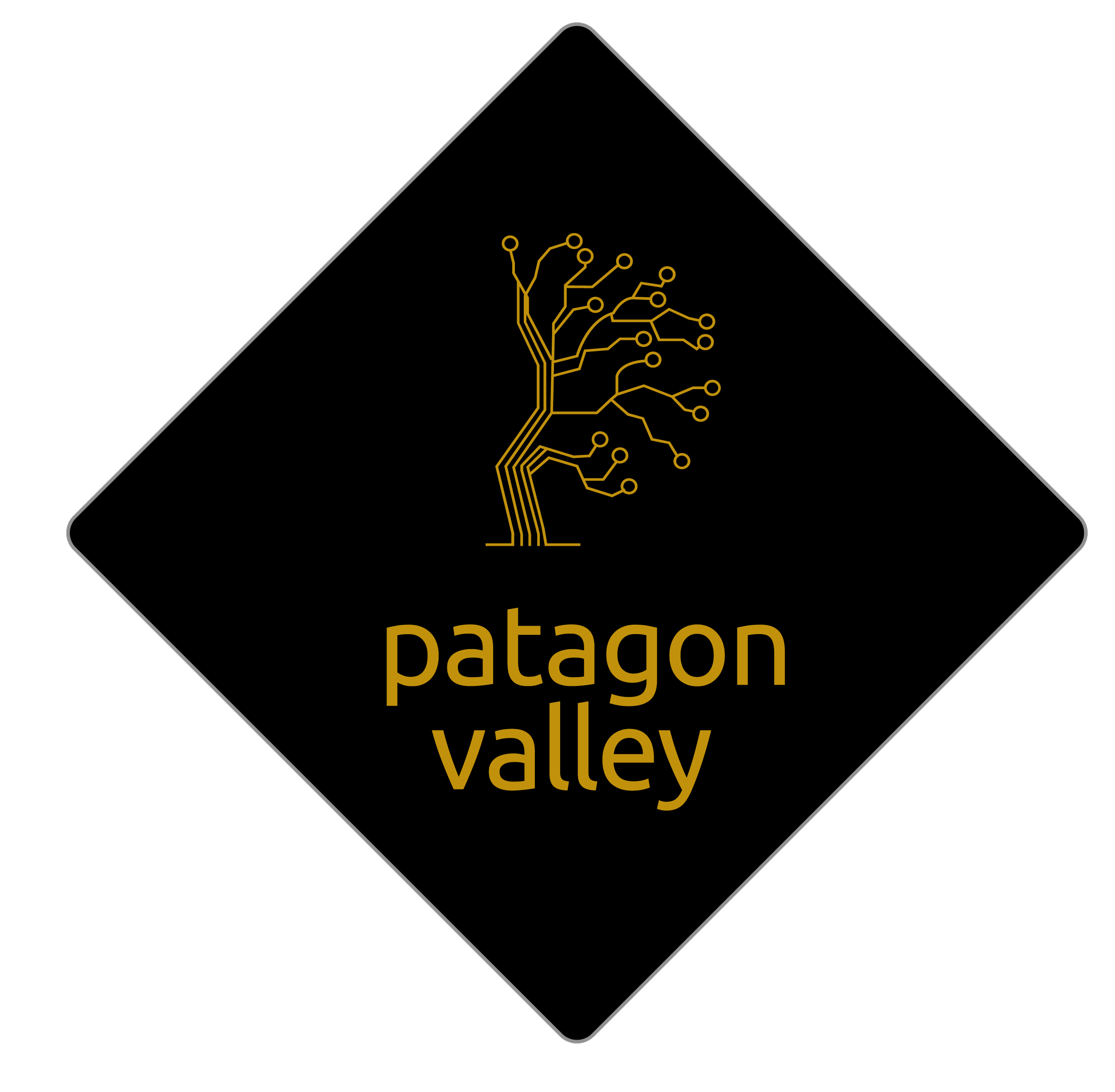 Patagon Valley